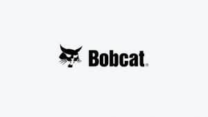 Bobcat